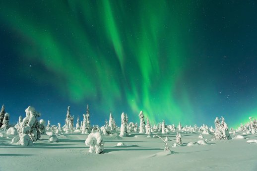 Nordlichter Foto Vivido 2_Credit Shutterstock.jpg