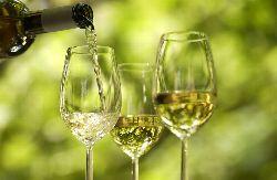 Absatzplus durch Sommerweine