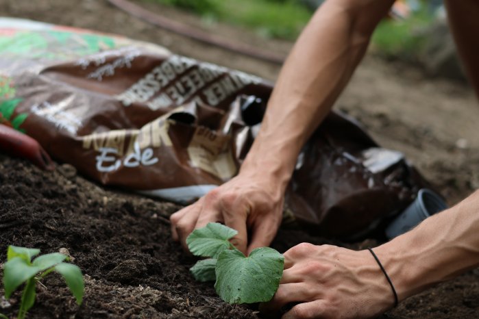 Patzer Erden_hochwertige Erde6.JPG