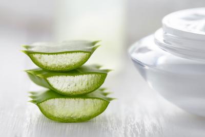 Aloe_Vera.png