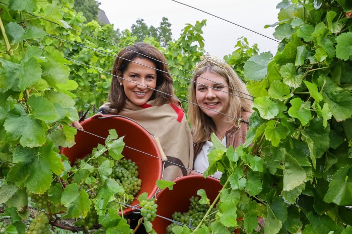 Foto Eröffnung der Weinlese 2025 in Franken durch Landwirtschaftsministerin Michaela Kaniber_Fot.jpg