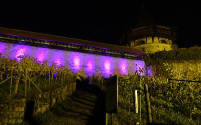 Burg in Violett