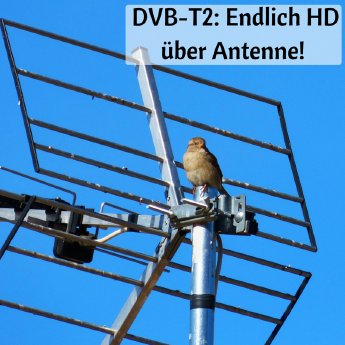 DVB-T2.png