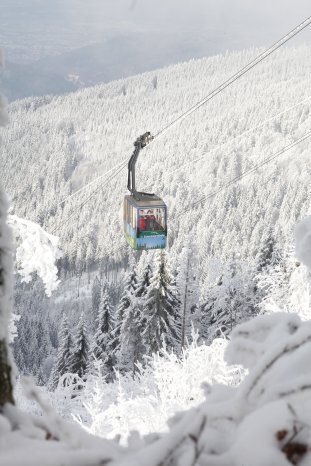 Freiburg_Schauinslandbahn © FWTM_Schauinslandbahn (2).JPG