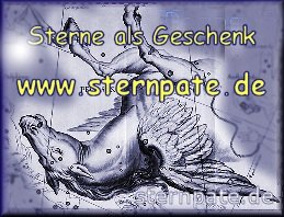 sternpate-banner-jpg.jpg
