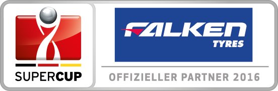 SC_Logo_2016_4c_falken_de_QF.PNG