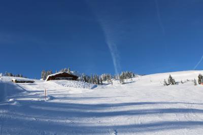 Perfekte Pisten bei der Abfahrt am Thalerkogllift Schatzberg mit der Alm © Wildschönau Tourismus FG T. Lerch