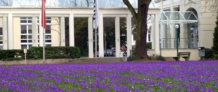 avendi_BadHonnef_Krokuswiese-Kurpark_2016_700pix.jpg