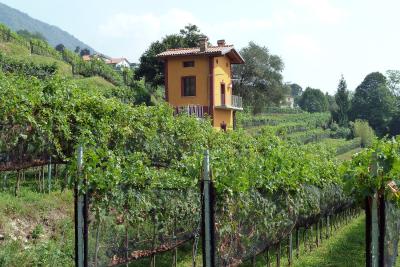 Cantina Cavallini