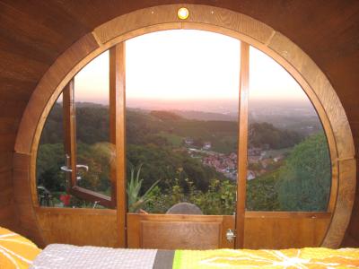 Blick aus Weinfass