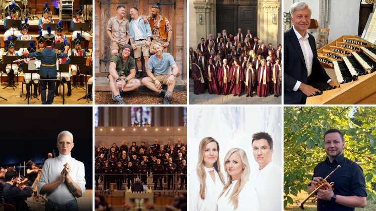 Künstlerinnen und Künstler des Kissinger Winterzaubers 2025-26.png