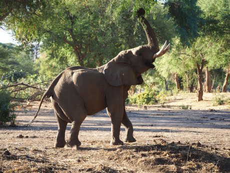 (c) Karawane, Hannah Blechschmidt (1).JPG