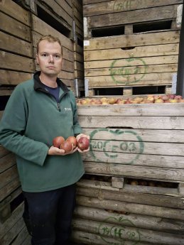 Niklas-Eckhoff-vor-Apfelkisten.JPG
