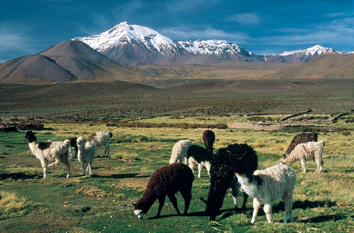 SÜDAM_Altiplano-Chile.jpg