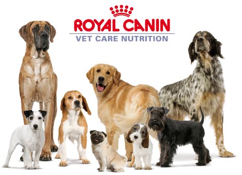 Royal Canin-VCN.jpg
