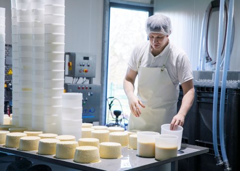 KW 21_Matthias Westerfeld bei der Produktion seiner handgemachten, regionalen Käse.jpg