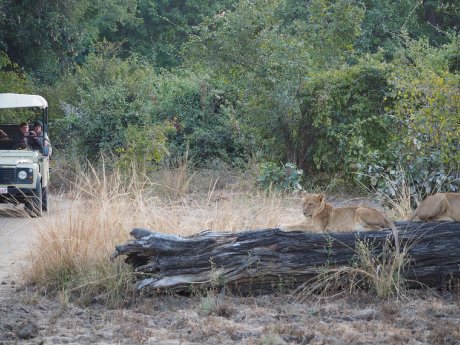 (c) Karawane, Hannah Blechschmidt (7).JPG