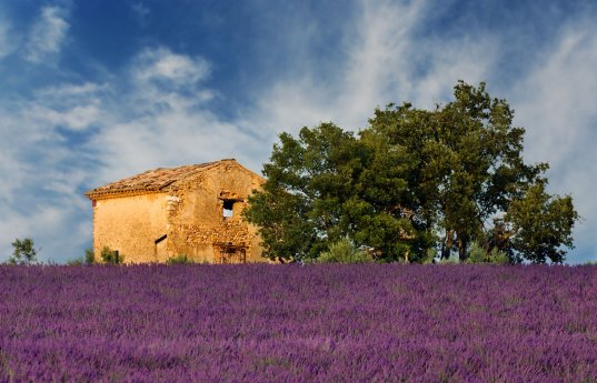 Provence_kleiner.jpg