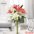 10 Lilien im Angebot für nur 14,99€ - online bestellt, direkt nach Hause geliefert