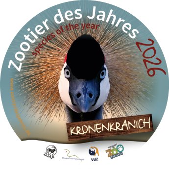 Bild-1-Zootier-des-Jahres-2026-Kronenkranich-Freunde-Hauptstadtzoos-Artenschutz.png