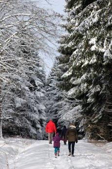 Spaziergang im Winterwald 2_Foto PEFC-Kollaxo.png