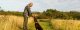 Hundepfeife im Training: So funktioniert sie und warum Hunde so gut darauf reagieren