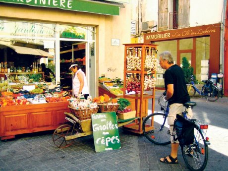 Fahrradrundreise Provence_copyright_rueckenwind_reisen.jpg