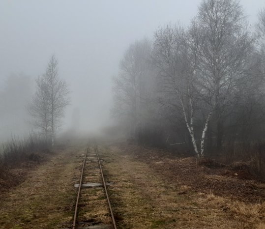 Ahlenmoor - Nebelgleise - S.Fürst CC BY NC.jpg