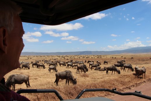 tansania-safari-wikinger-reisen-honorarfrei.jpg