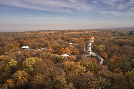 Herbst in der Welterberegion Wartburg Hainich – Indian Summer im Nationalpark Hainich (c) Tino Sieland
