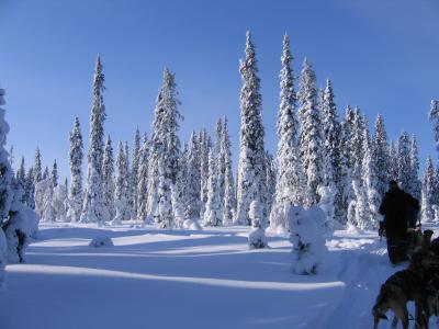 Landschaft bei Arvidsjaur © nordic holidays