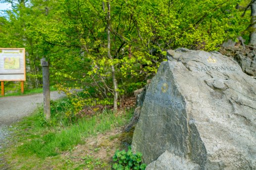 bad_harzburg(c)wanderungen_kw23_24.jpg