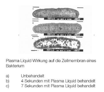Wirkung