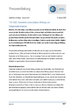Autofahren mit Grippe 鈥 besser nicht.pdf