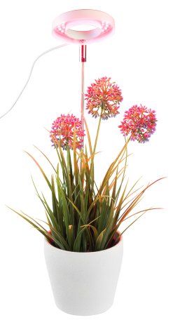 JX-8024_07_Vollspektrum-LED-Pflanzenlampe.jpg