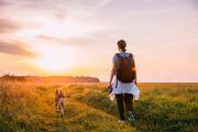 Borreliose beim Hund