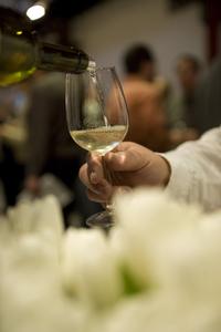 Acht Riesling-Weine unter den Topplatzierungen im internationalen Wettbewerb "best of riesling 2012"