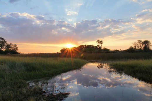 Botswana_Reisen_Okavango_Delta.jpg