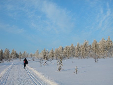 Cross_Country_Skiing_in_Hetta_Pasi_Ikonen.jpg