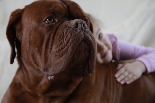 Mehrheit der Hundehalter lassen ihre Vierbeiner regelmäßig impfen (www.agila.de).JPG