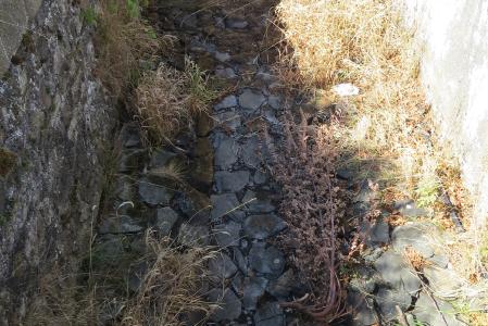 Trockengefallene Bäche im Vogelsberg – hier der Gilgbach in Bobenhausen II – machen eine Aufhebung des Entnahmeverbots von Wasser unmöglich (Foto: S. Jost, Untere Wasserbehörde)