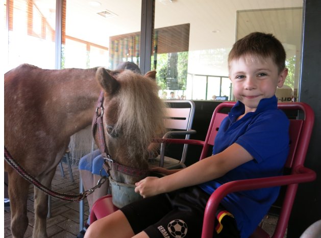 Ponytherapie 2026 Bilder Haas.jpg