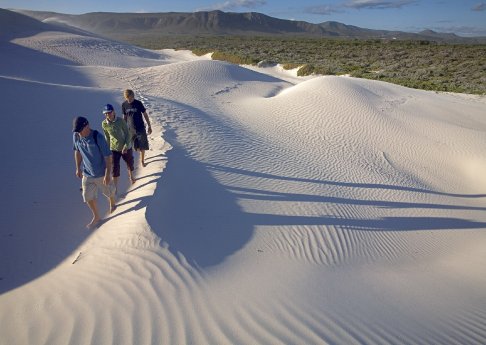 Duene bei Grootbos suedliches Afrika.jpg