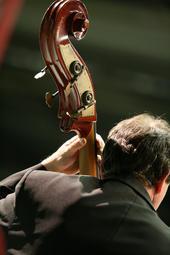 Musiker bei einem Konzert des Schwarzwald Musikfestivals 2008