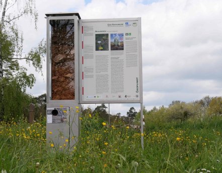 Bodenprofil-Stele Amorbach.jpg