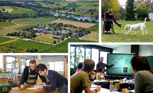 Collage Jugendwerk-Hegau