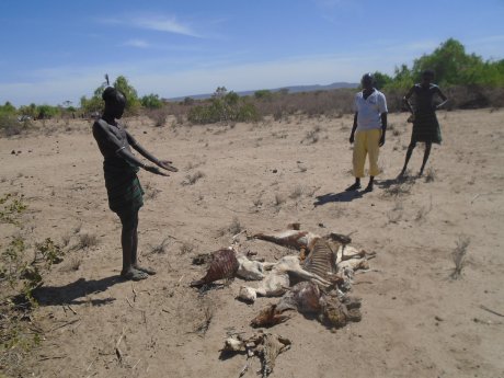 Duerre und Tod in Kenia.JPG
