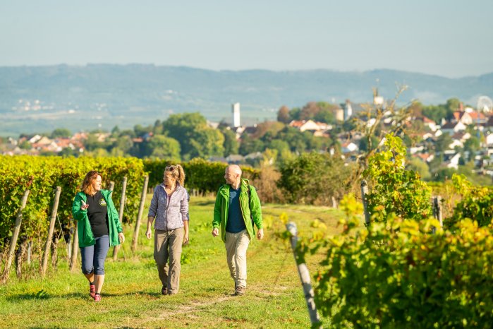 Rheinhessen-2021-631-Ingelheim, Krimiwanderung.jpg