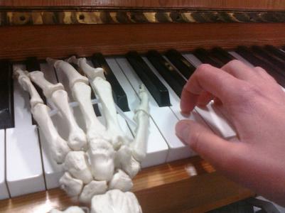 Musik trifft Physiotherapie - Hochschule Osnabrück bildet
einzigartigen Schwerpunkt physiotherapeutischer Beratung für Musiker