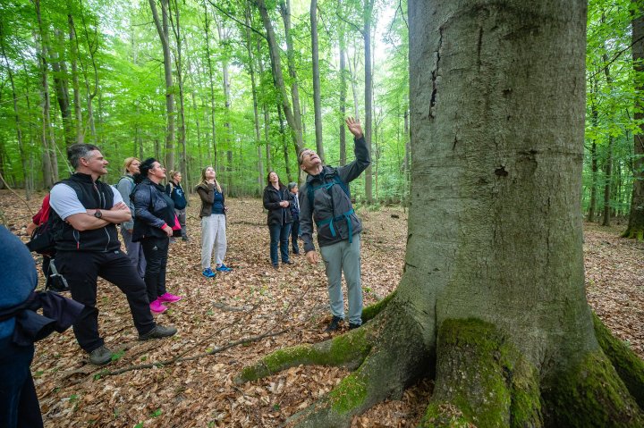 Regenerative Leadership: Zukunftsfähige Führung im WaldResort am Nationalpark Hainich